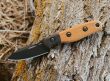 Nóż TOPS Knives Hornero - 6
