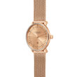 Zegarek Sternglas Naos XS Edition Elyra, 33mm - 2