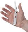 Scyzoryk Case SparXX Mini Trapper SS White - 5