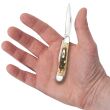 Scyzoryk Case Peanut SS Amber Bone - 6