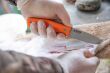 Nóż Casström No.10 SFK Orange G10 14C28N Kydex - 6
