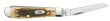 Scyzoryk Case Mini Trapper SS Amber Bone - 4