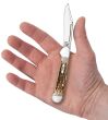 Nóż Case Mini Copperlock SS Amber Bone - 5