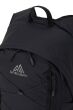 Plecak Gregory Avolite 22L Black - 6