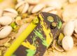 Nóż Böker Plus Kihon Dubai Chocolate - 7