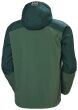 Softshell Helly Hansen Oxford Spruce/Darkest Spruc - 2