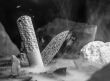 Nóż Böker Solingen BRLW Meteorite Damast - 5
