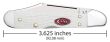 Nóż Case SparXX Mini Copperlock SS White - 2